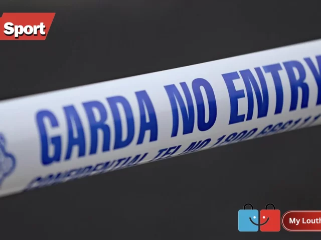 Man Arrested After Garda Injured in Dangerous Driving Incident in Ardee