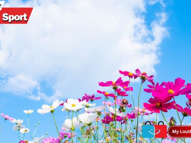 🌼 Louth in Bloom 2025: County Council Launches Annual Competition Celebrating Community, Colour and Sustainability 🌼