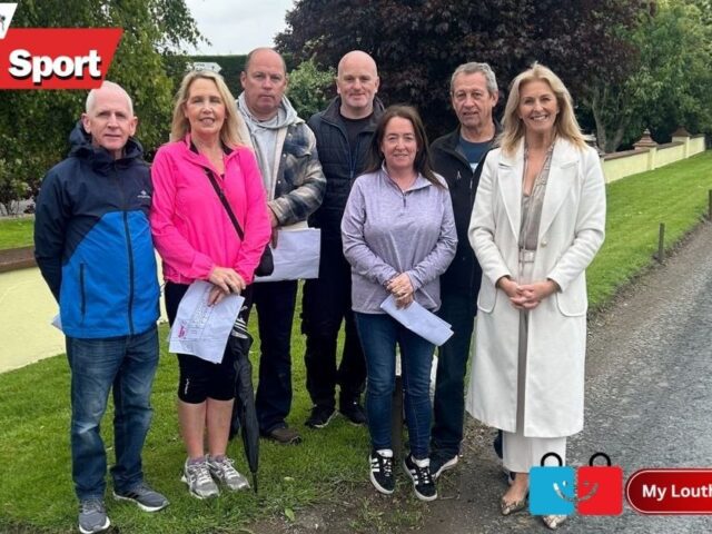 Senator Alison Comyn Urges Urgent Safety Upgrades on Ardee’s R165–R167 Corridor