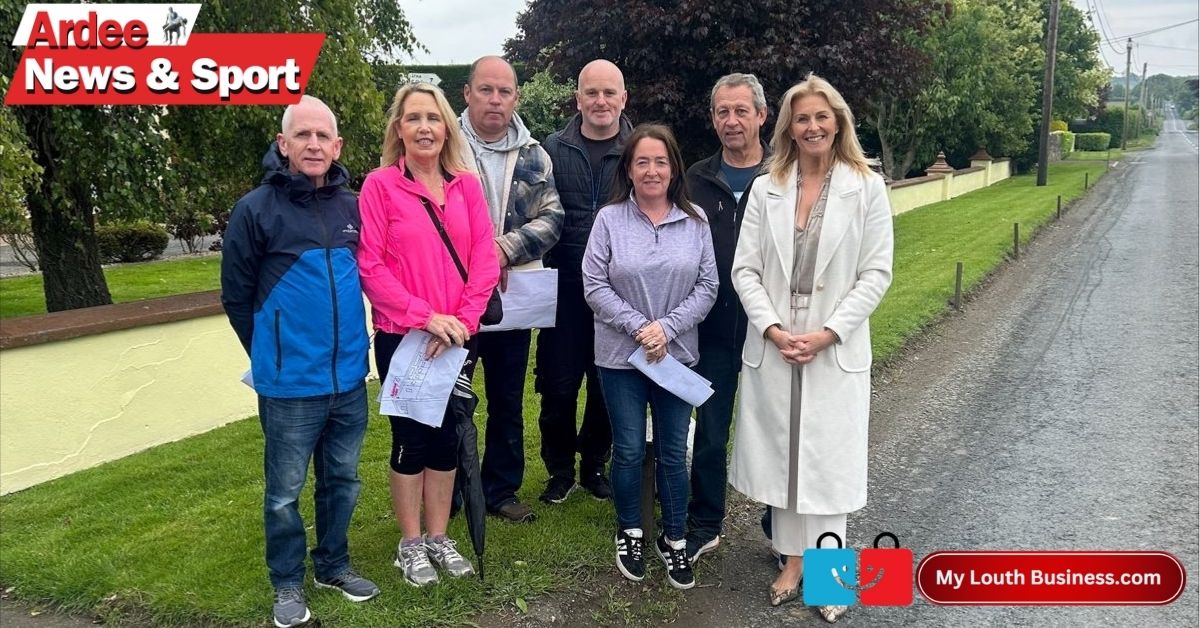 Senator Alison Comyn Urges Urgent Safety Upgrades on Ardee’s R165–R167 Corridor