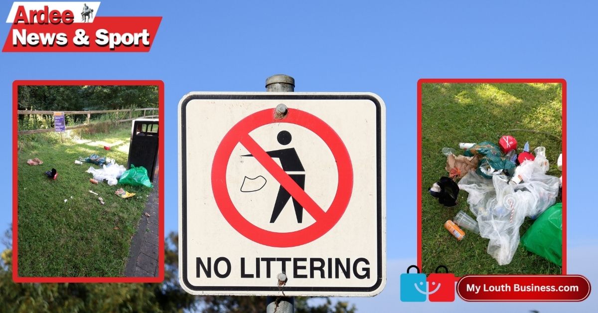 Ardee Tidy Towns Decry Rubbish Dumping Amid Clean-Up Campaign