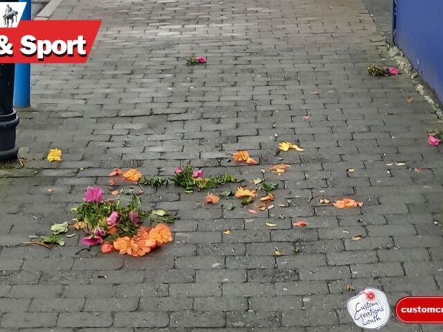 Ardee Tidy Towns condemn vandalism of town flower displays
