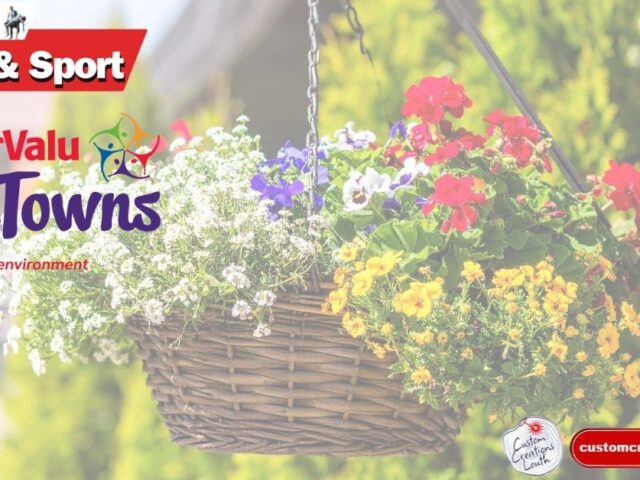 Ardee shines as Louth wins five Golds in Tidy Towns 2025