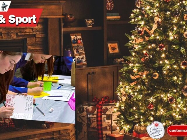 Louth Launches Christmas Giving Tree to Support Nursing Homes