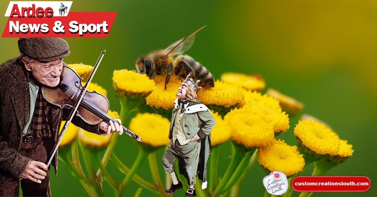 Cherrybrook Awaits Fairy Housing Plan from Darby OGill