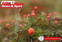 Ardee Bog Secures €7,680 for Restoration Project Ardee Bog Secures €7,680 for Restoration Project