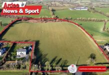 Ardee Farm Smashes Guide Price with €360k Auction Sale Ardee Farm Smashes Guide Price with €360k Auction Sale