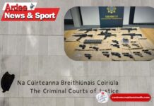 Ardee Man Jailed After Supplying Guns to Crime Gangs Ardee Man Jailed After Supplying Guns to Crime Gangs