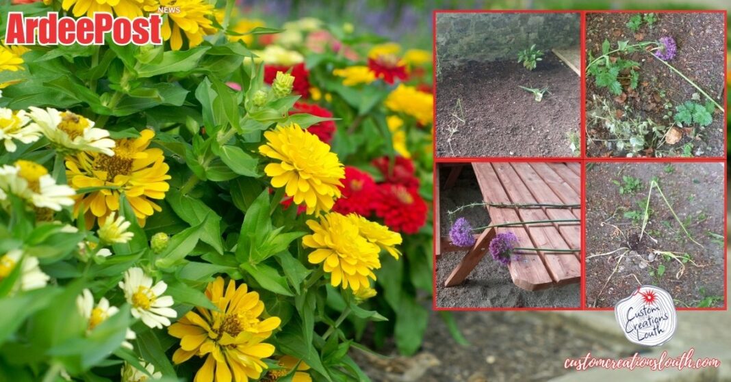Ardee Tidy Towns Heartbreak: Main Street Vandalism Sparks Outrage