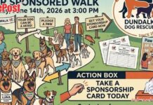 Dundalk Dog Rescue to Host Family-Friendly Sponsored Walk 2026