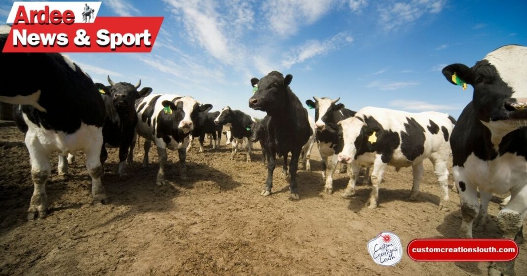 North Eastern Holstein Friesian Club Launches 50th Herds Competition
