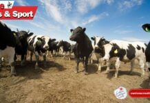 North Eastern Holstein Friesian Club Launches 50th Herds Competition