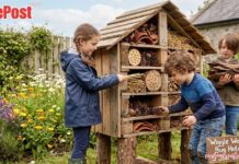 Mid-Louth Kids Gardening Hub Wiggle Worms Launches New Website