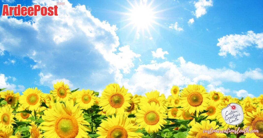 Stay Safe in the Sun: Louth County Council Issues Heatwave Advisory for Ardee