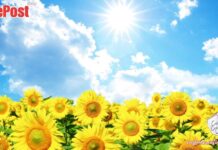 Stay Safe in the Sun: Louth County Council Issues Heatwave Advisory for Ardee