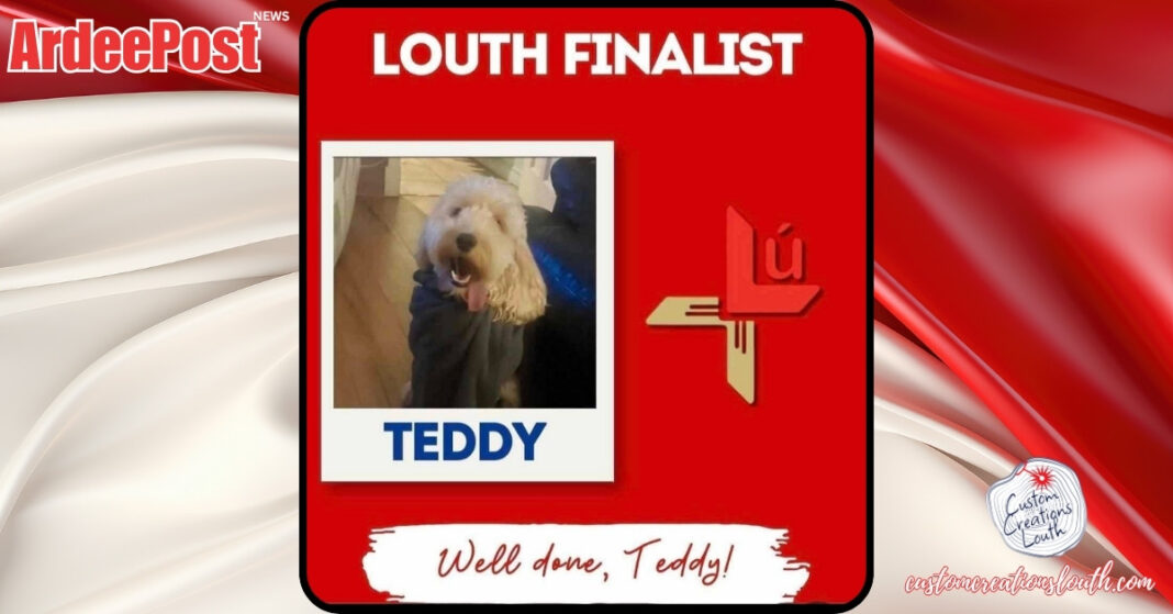 Nose of Tralee: Louth’s Own Teddy Needs Your Vote!